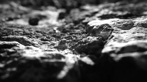 Infrared Macro Shot Of Cobweb On Stone Wall Blowing In Wind Stock Footage 330920029