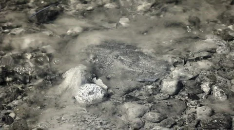 Infrared nature: stones and waves on sea shore 3 Stock Footage