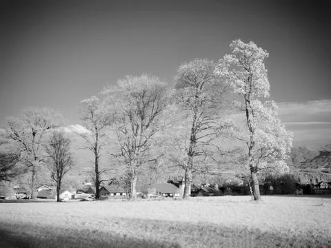 Infrared photography landscape Stock Photos