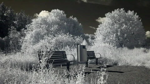 Infrared sports: man jogging near the river 1 Stock Footage