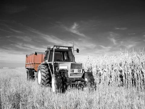 Infrared tractor Foto stock