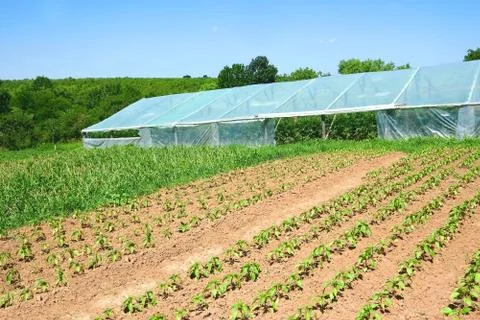 Infrastructure of rural farm Stock Photos