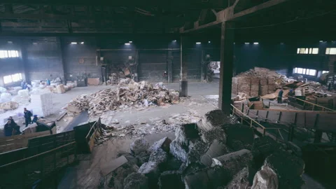 Infrastructure for the storage and processing of paper waste. cardboard plant. Vidéo 171863753
