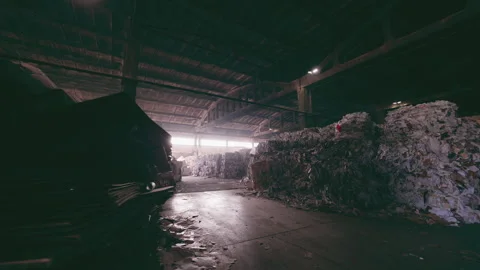 Infrastructure for the storage and processing of paper waste. cardboard plant. Vidéo 171868778