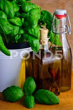 Infused herbal oil and basil Stock Photos