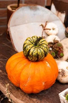Ingathering.Pumpkins are lying on the table.Lots of pumpkins on market.Hall.. Foto stock