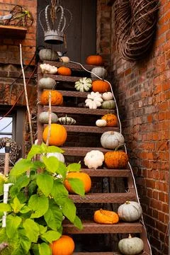 Ingathering.Pumpkins are lying on the table.Lots of pumpkins on market.Hall.. Stock Photos