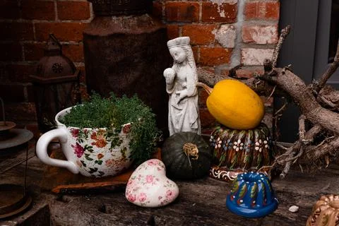Ingathering.Pumpkins are lying on the table.Lots of pumpkins on market.Hall.. Stock Photos
