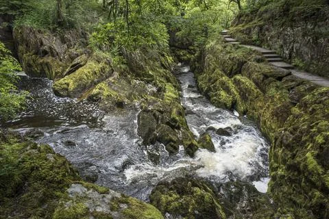 Ingleton waterfalls in Yorkshire Foto stock