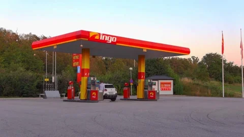 Ingo Stock Footage 283773994