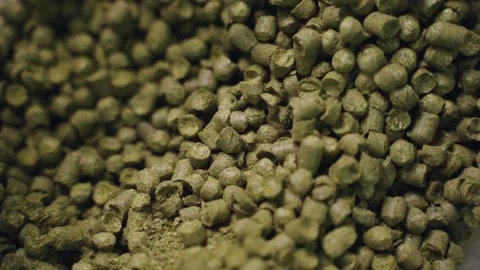 Ingredient for brewing beer Stock Footage 153269283