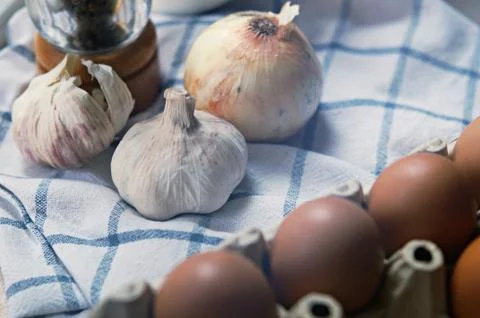 Ingredient in the kitchen with sunlight from the window. Stock Photos