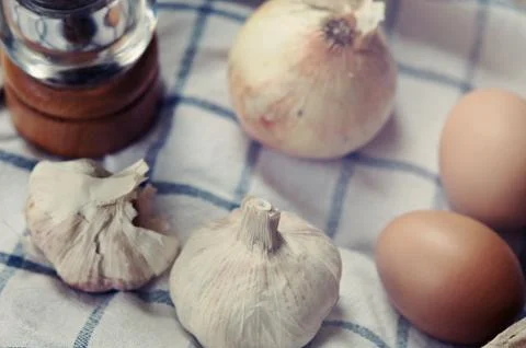 Ingredient in the kitchen with sunlight from the window. Stock Photos