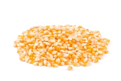 Ingredient of pop corn Фото