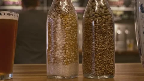 Ingredients of making beer 動画素材 236596148