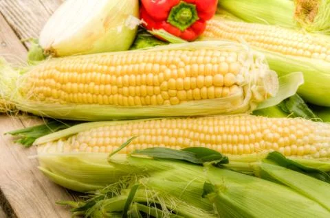 Ingredients for making corn salsa 写真素材