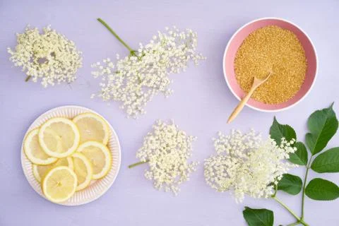 Ingredients for making elderflower syrup Stock Photos