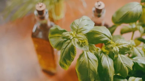 Ingredients for preparing a pizza - Basil Leaves and olive. Stock-Footage 104288742