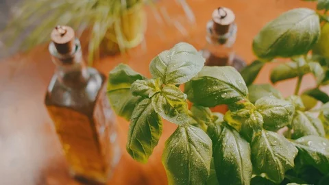 Ingredients for preparing a pizza - Basil Leaves and olive. Stock-Footage 104288868