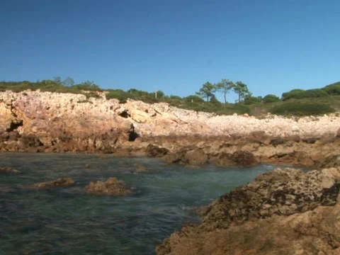 Ingrina Video stock 490071