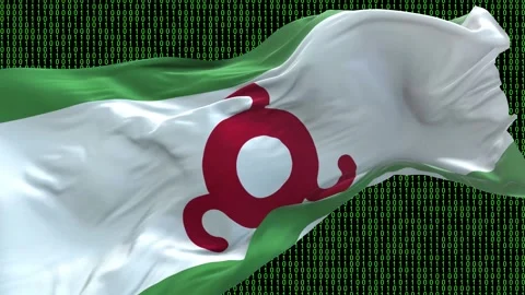 Ingushetia flag - Waving flag on matrix binary code background Stock Footage 321421265