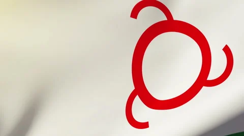 Ingushetia flag waving in the wind. Looping sun rises style.  Animation loop Stock Footage 48317098