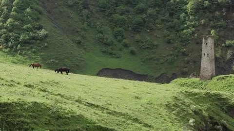 Ingushetia Mountains Stock Footage 81057090