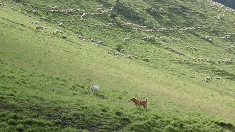 Ingushetia Mountains Stock Footage 81057101