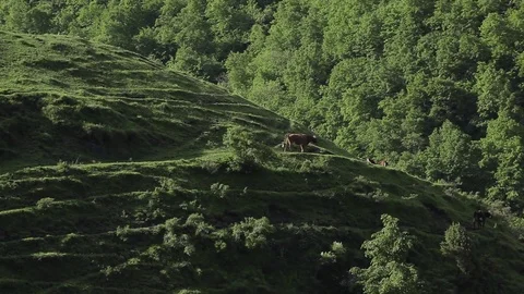 Ingushetia Mountains Stock Footage 81063535