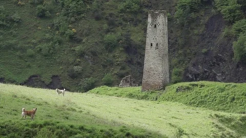 Ingushetia Mountains Stock Footage 81064370