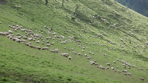Ingushetia Mountains Stock Footage 81064406