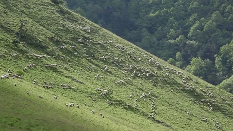 Ingushetia Mountains Stock Footage 81064615