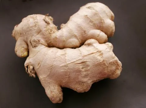 Ingwerwurzel Stock Photos