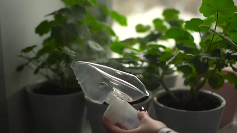 Inhalation mask close-up on a background of green flowers. Steam is coming out Stock Footage 257565862