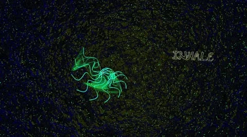 Inhale Exhale 库存影片 20486446