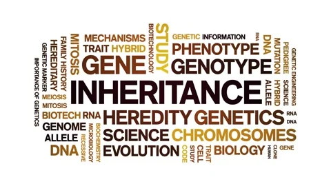 Inheritance animated word cloud,animation tag kinetic typography seamless loop. Stock Footage 326416480