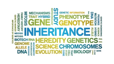 Inheritance animated word cloud,animation tag kinetic typography seamless loop. Stock Footage 326416606