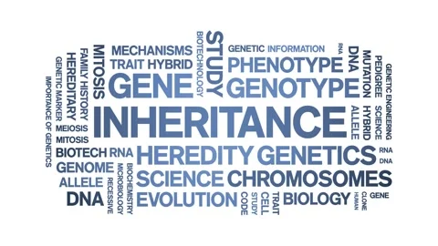 Inheritance animated word cloud,animation tag kinetic typography seamless loop. Stock Footage 326416783