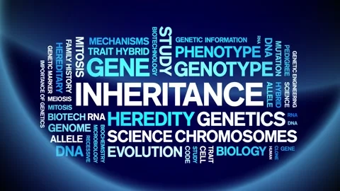 Inheritance animated word cloud,animation tag kinetic typography seamless loop. Stock Footage 326423341