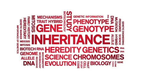 Inheritance animated word cloud,animation tag kinetic typography seamless loop. Stock Footage 326464980