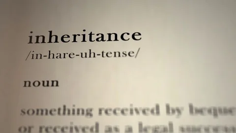Inheritance Definition Stock Footage