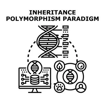Inheritance polymorphism paradigm displaying data and genetics Stock Illustration