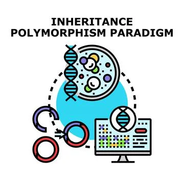 Inheritance polymorphism paradigm in genetics and programming Stock Illustration