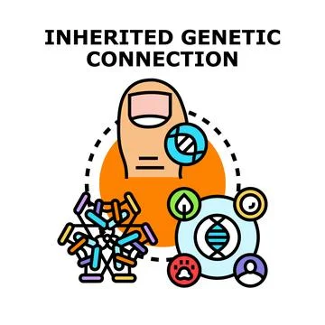 Inherited genetic connection concept creating dna molecule Stock Illustration