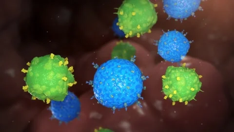 Inhibition of ADCC and ADCP effects prevents immune cells Stockbeeldmateriaal 345012246