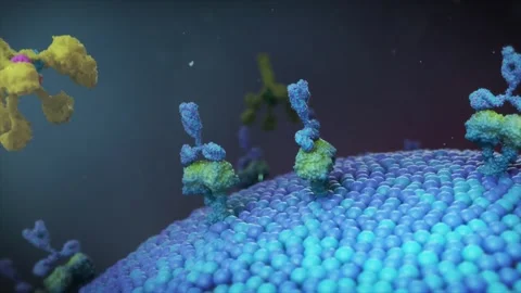 Inhibition of C1q protein prevents complement system activation Stockbeeldmateriaal 345012315