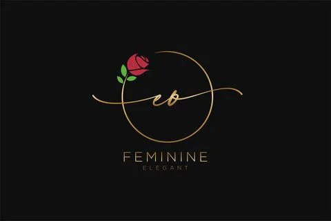 Initial EO Feminine logo beauty monogram and elegant logo design, handwriti.. Stock Illustration