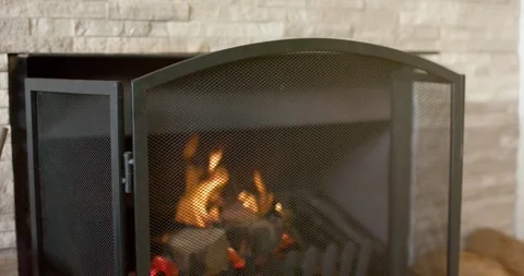 Initial flame flickering behind metal mesh is intensifying fire, darkening logs Stock Footage 342018503