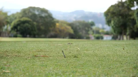 Initial golf swing on the course Stock Footage 306621995