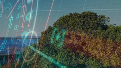 Initial HUD overlays sliding left while fading out to reveal vibrant mangrove 動画素材 317369454
